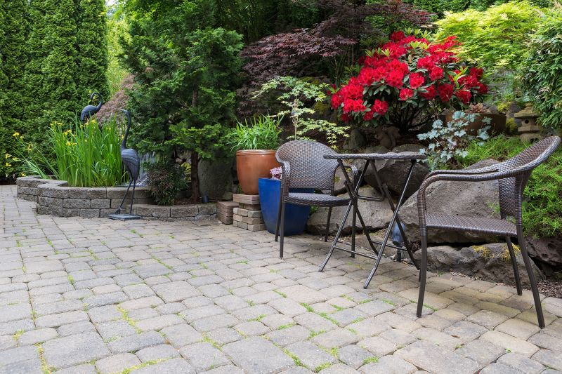 Products For Paver Patio Repairs in use