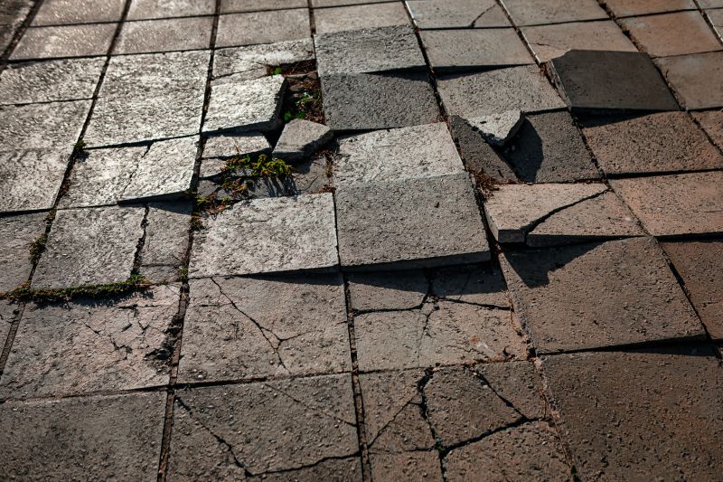 Local Paver Repair Services